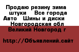 Продаю резину зима 2 штуки  - Все города Авто » Шины и диски   . Новгородская обл.,Великий Новгород г.